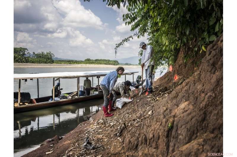 Discover the Smallest Fossil Monkey Unearthed in the Amazon: 18‑Million‑Year‑Old Breakthrough