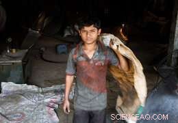 Australian Companies Unprepared for Mandatory Modern Slavery Reporting, Study Finds