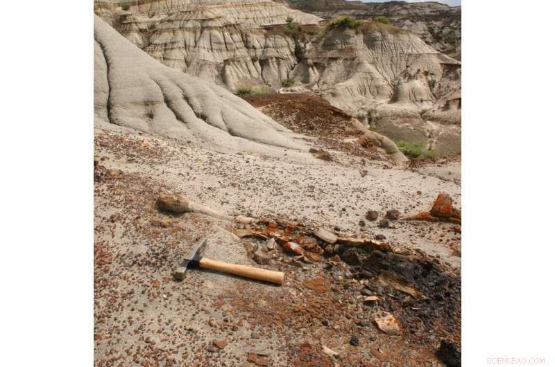 Revealing Hidden Life Inside Dinosaur Bones: Fluorescent Clues Unearthed