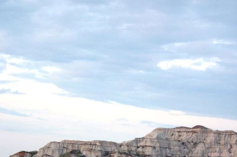 Revealing Hidden Life Inside Dinosaur Bones: Fluorescent Clues Unearthed