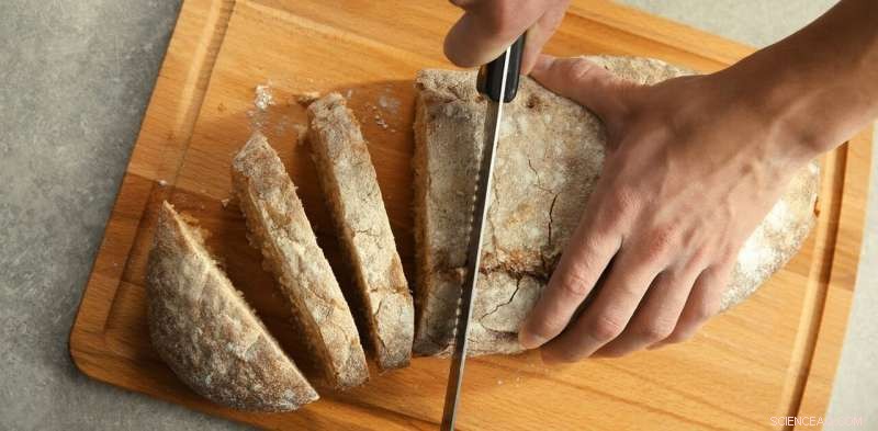 Wage Theft Surges: A 45% Audit Rate Reveals Systemic Underpayment in Australian Food Services