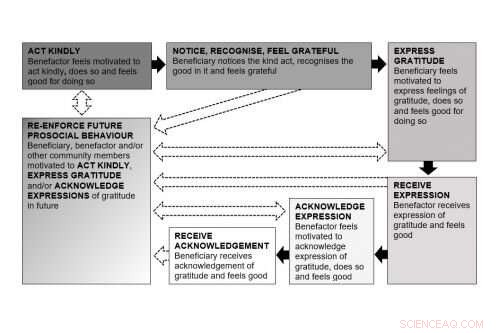 New Study Reveals Gratitude Cycle Transforming Online Community Design
