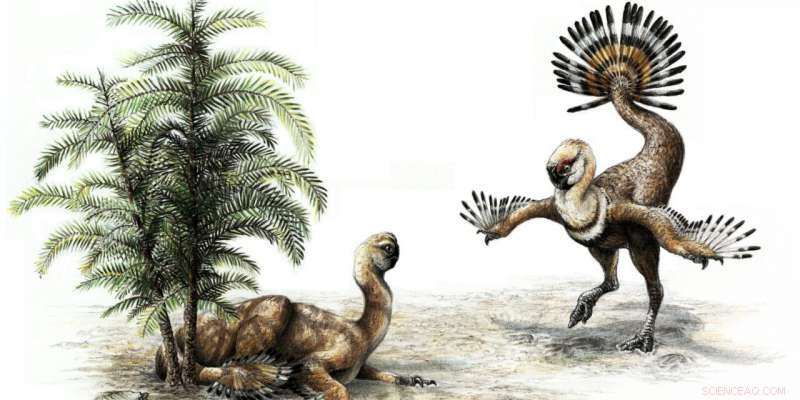 Sexual Displays May Have Driven Feather Evolution in Dinosaurs