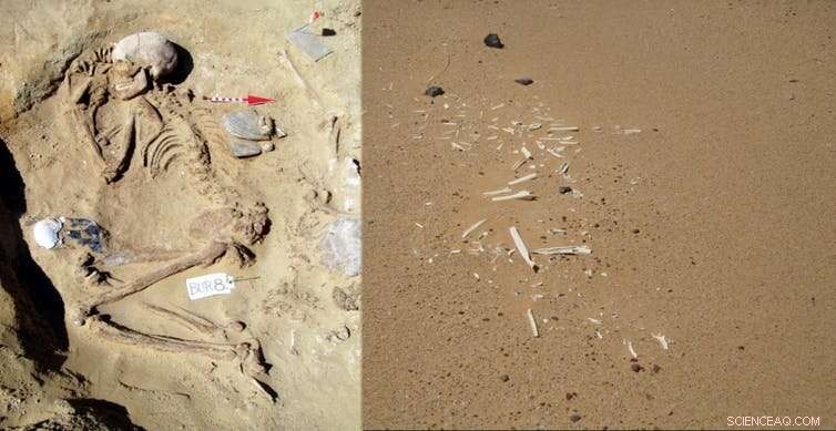 Who were the Neolithic pioneers behind ancient Egypt s rise? Discover our excavation insights.