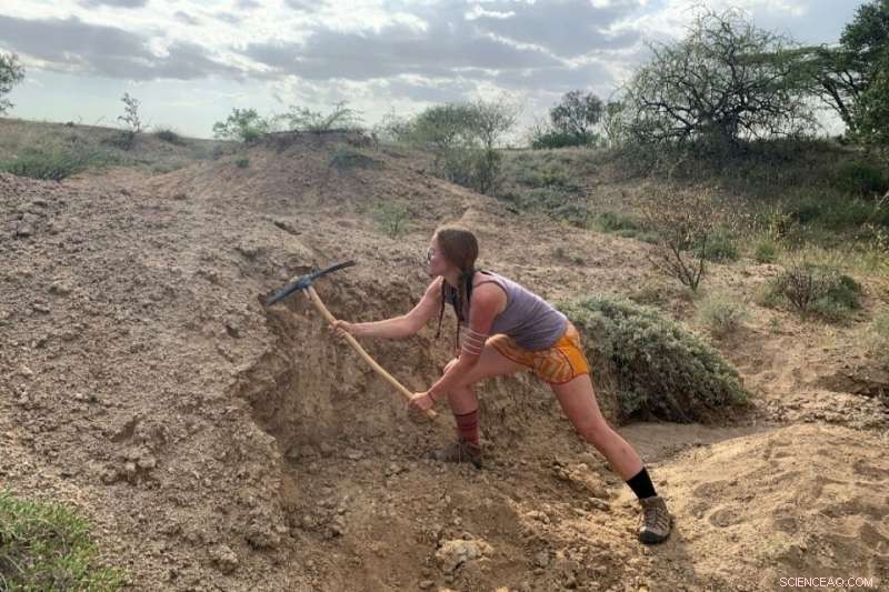 Ancient Soil Reveals Hidden Stories of Human Evolution