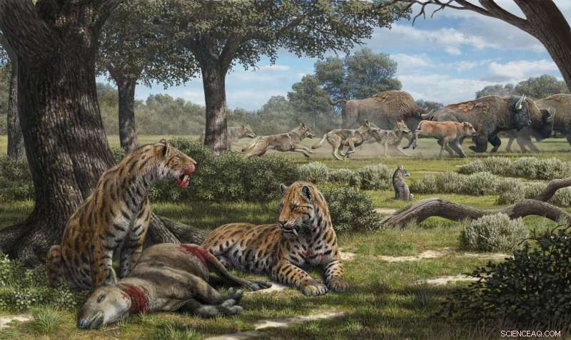 La Brea Tar Pits Study Reveals Why Coyotes, Not Saber-Toothed Cats, Rule the Modern Landscape