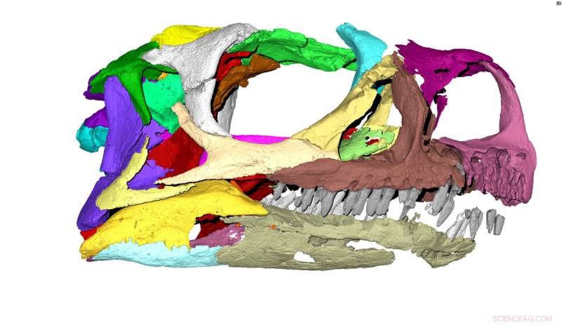 South Africa Unveils Newly Identified Early Dinosaur Species