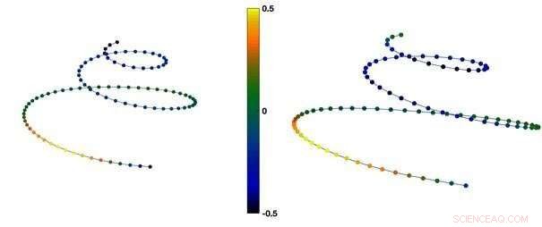 Cochlear Shape as a Reliable Indicator of Biological Sex: Insights from Inner Ear Anatomy