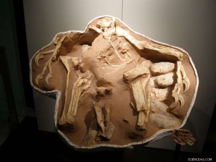 Ancient Dinosaur Eggs Reveal Key Insights Into Prehistoric Parenting