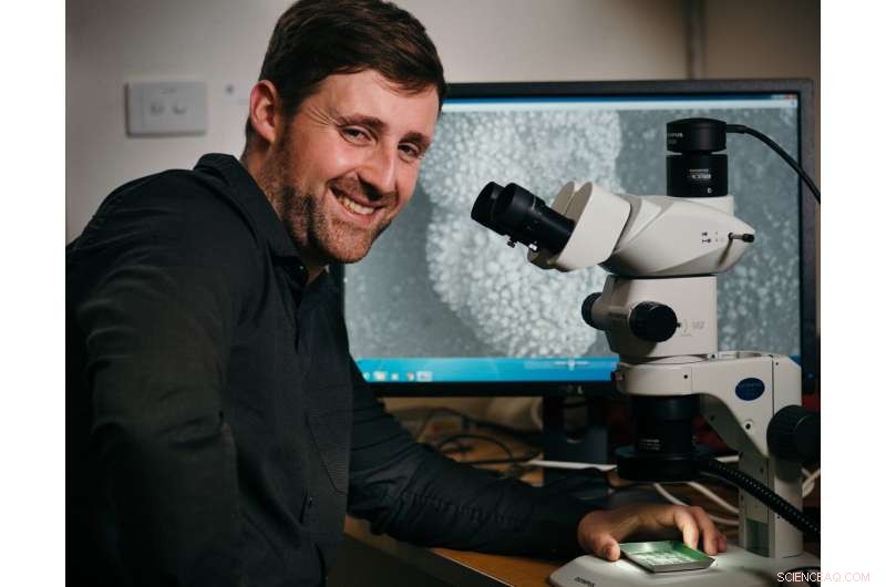 Uncovering the Ancient Origins of Blindness in Horseshoe Crabs