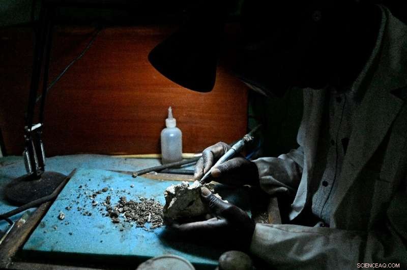 Unveiling Kenya’s Lost Giant: The 23‑Myr‑Old Simbakubwa Fossil Hidden for 40 Years