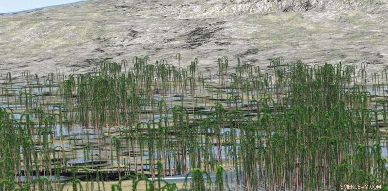 The Legacy of a Lost Forest: How Extinct Trees Revolutionized Life on Earth