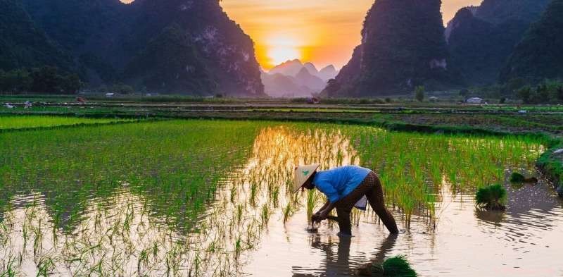 Using Archaeology to Guide Sustainable Food Systems for the Future