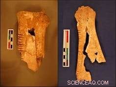 Syria s Exiled Archaeologists Reflect on the Cultural Loss of War