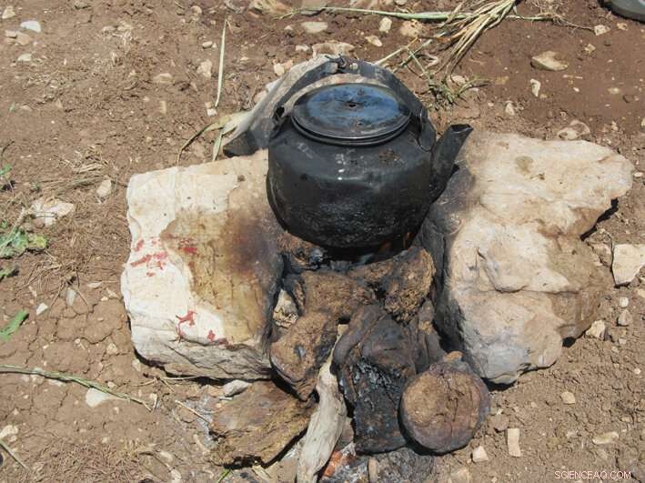 Uncovering the Dawn of Dung Use: Neolithic Evidence Reveals Early Human Practices