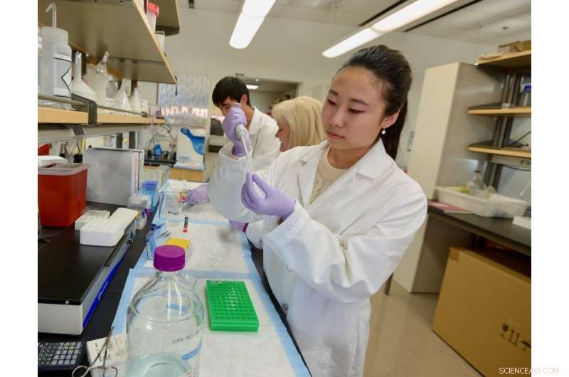 Positive Lab Environments Drive Undergraduate Research Success, Study Finds
