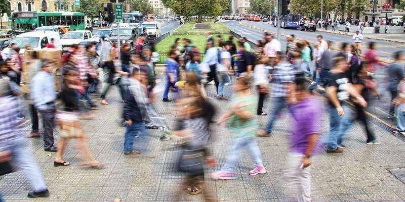 Debunking the Myth of a Homogeneous White Working Class: Leeds Study Reveals Growing Racial Diversity in Northern Cities