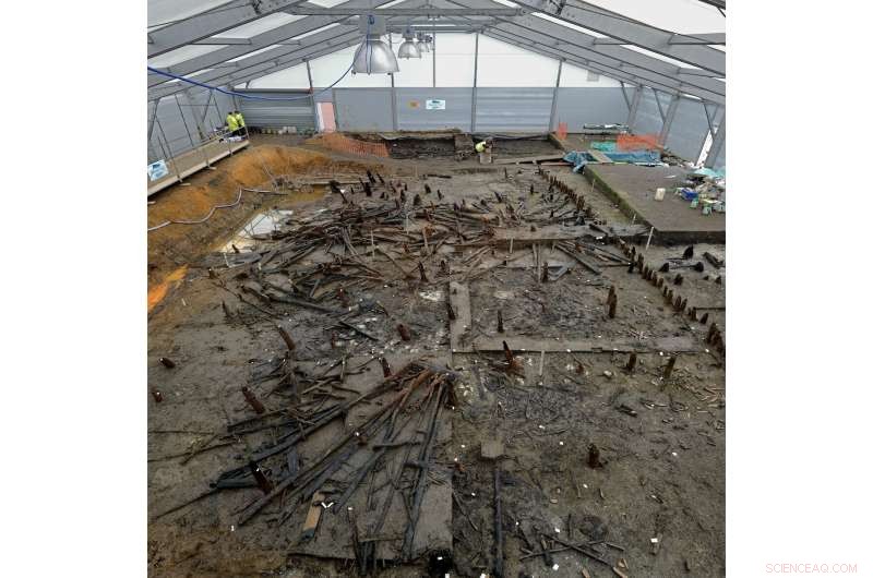 Ancient Feces Uncover Parasite Infections Among Bronze Age Fen Settlers