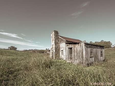 Conflict Avoidance: A Key Factor in Reducing Violence, Study Finds