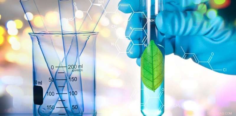 Green Chemistry Labs Foster Sustainable Innovation in Students