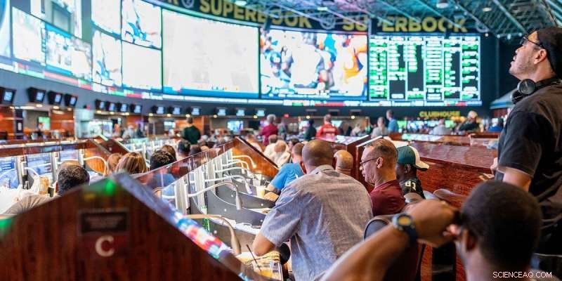 How Bookmakers Profit from Fan Emotions: Insights from New Research