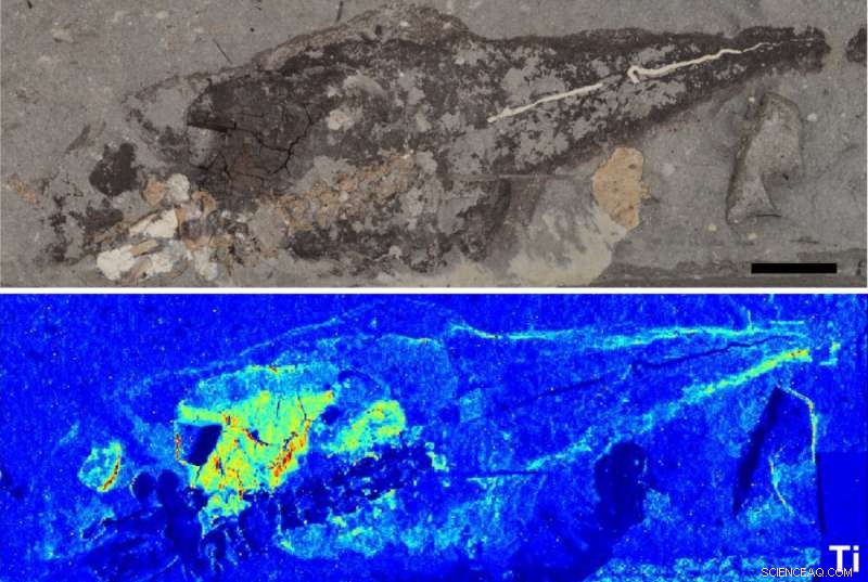 Scientists Unveil Advanced Technique for Accurate Reconstruction of Extinct Animals