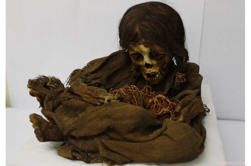 500-Year-Old Incan Mummy Returns to Bolivia After 129 Years