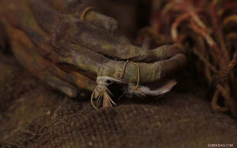 500-Year-Old Incan Mummy Returns to Bolivia After 129 Years