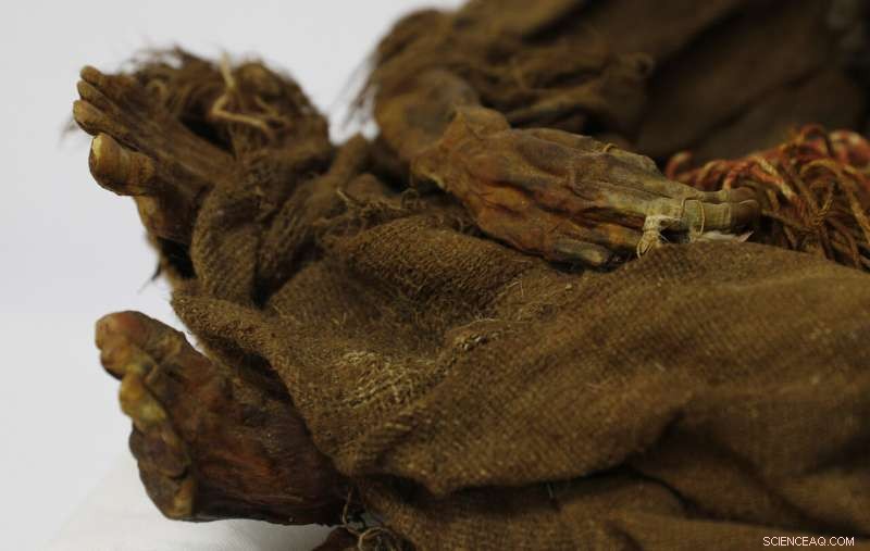 500-Year-Old Incan Mummy Returns to Bolivia After 129 Years