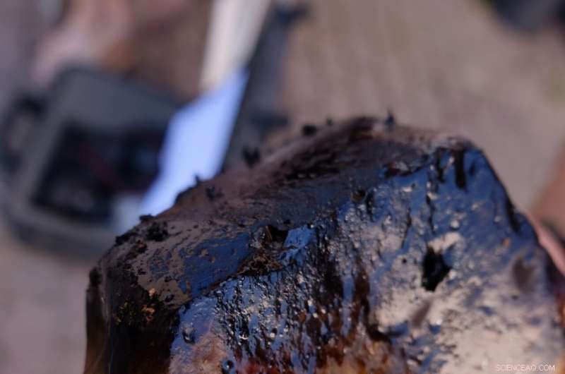 New Study Suggests Neanderthal Tar Production Was Simpler Than Previously Believed