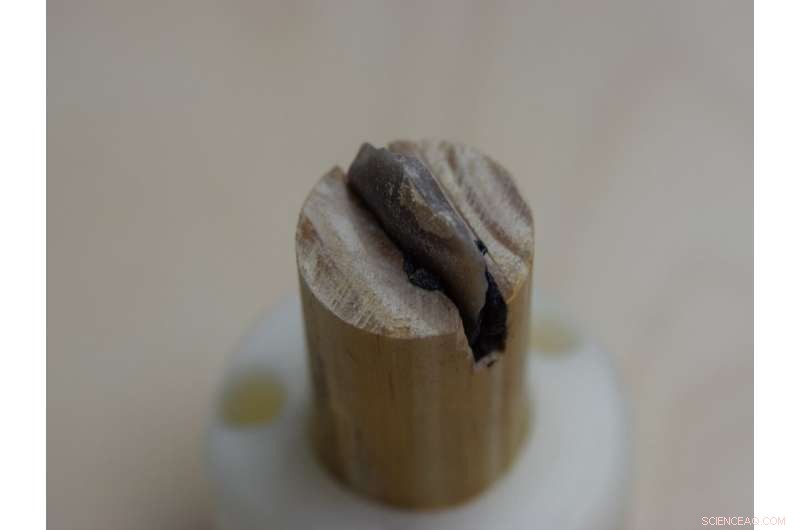 New Study Suggests Neanderthal Tar Production Was Simpler Than Previously Believed