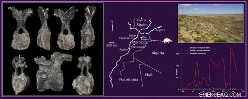 Scientists Discover World’s Oldest Known Stegosaur Species
