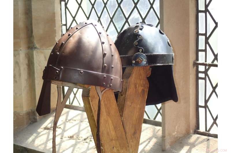 Vikings Arrive Amid Ireland s 200-Year Population Decline