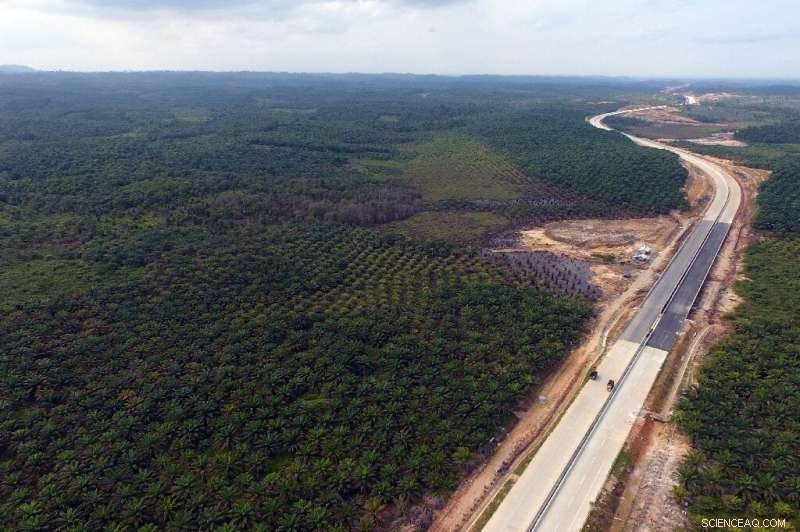 Indonesia Announces Capital Move to East Kalimantan on Borneo Island