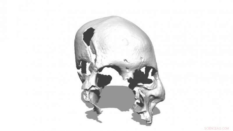 Discovery of 12,000–17,000‑Year‑Old Skulls Illuminates Early Human Migration to Australia