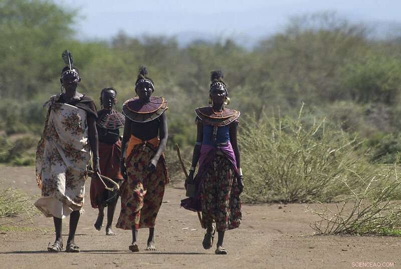 Kenya Pioneers Rights for Intersex Individuals Through Inclusive Census Data