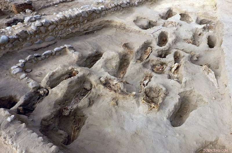 Archaeologists Uncover 227 Sacrificed Children in Peru – A Historic Discovery