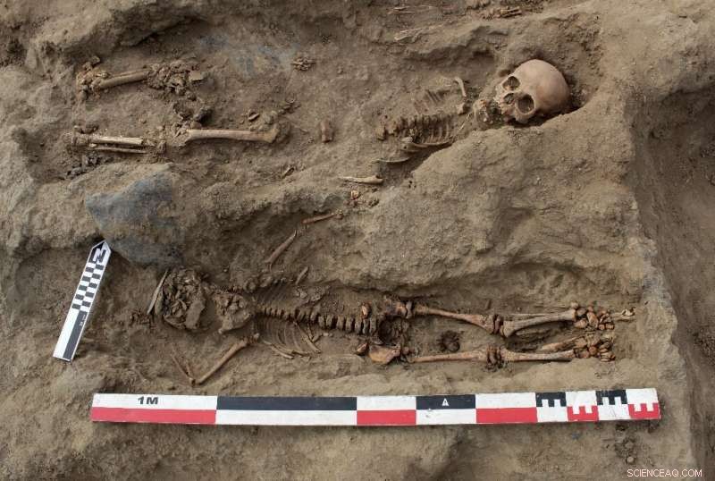 Archaeologists Uncover 227 Sacrificed Children in Peru – A Historic Discovery