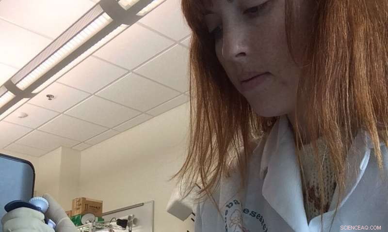 DNA & Fossil Insights Reveal Pine Marten Evolution During the Ice Age