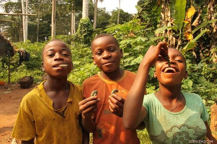 What Hunter‑Gatherer Children Reveal About Human Culture and Innovative Teaching