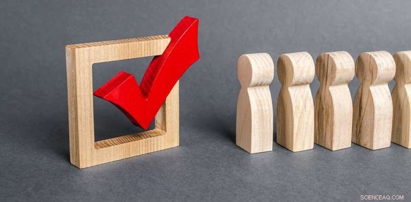 Incentivizing Voter Participation: Risks of Paying to Vote