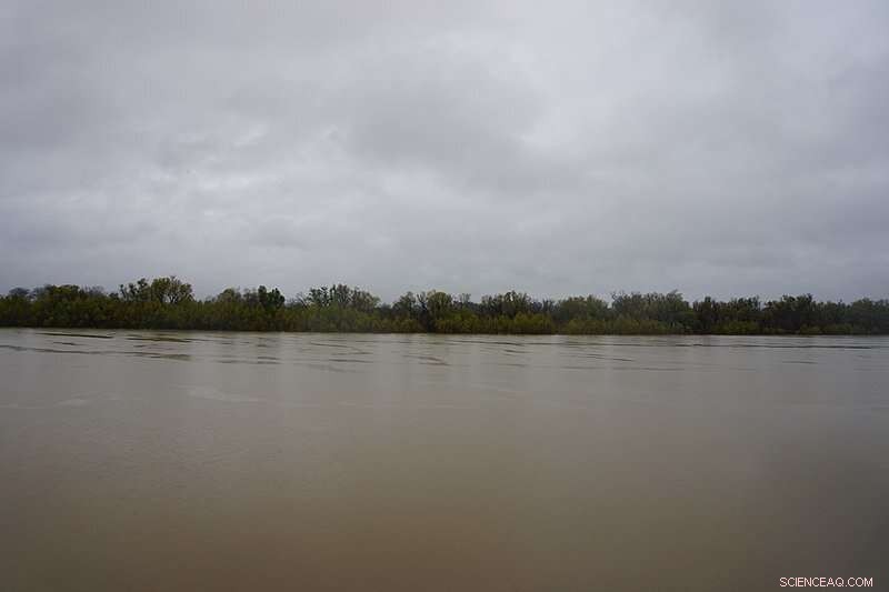 Archaeologist Uncovers Significant Historical Site in Mississippi River Valley