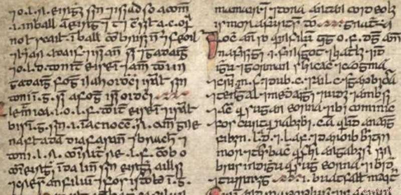 Researchers recover 500 lost Irish words, including one for  oozes pus 