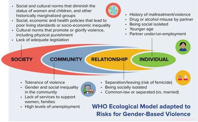 Gender-Based Violence: Non-Male Individuals Face Higher Victimization Risk