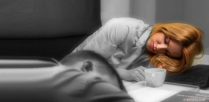 Do Long Working Hours Keep Australians Happy? Insights into Job Satisfaction and Turnover