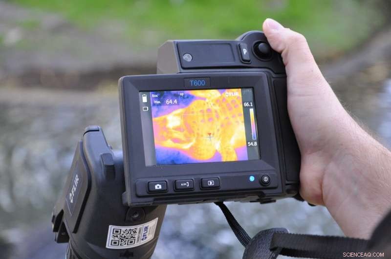 New Study Reveals T. rex’s Head Contained Natural Thermoregulation System