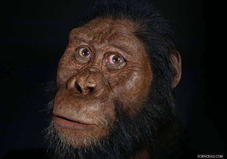 New 3.8‑Myr Skull Sheds Fresh Light on Human Evolution