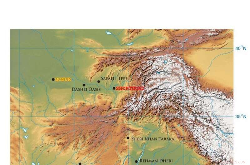Groundbreaking Ancient DNA Study Sheds Light on Millennia of South and Central Asian Prehistory