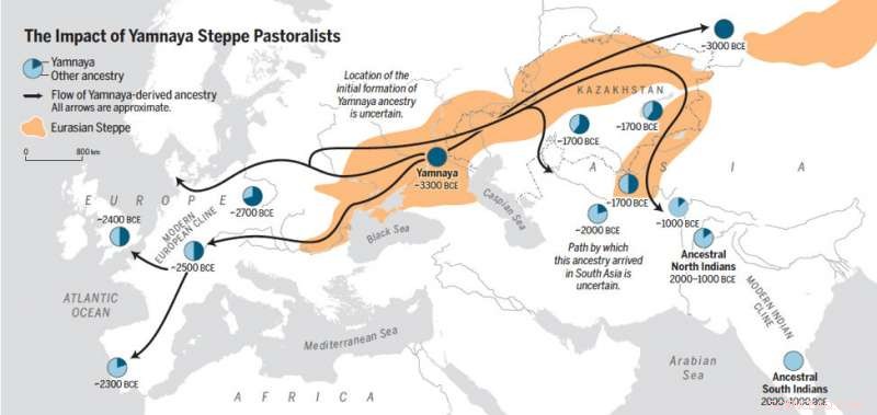 Groundbreaking Ancient DNA Study Sheds Light on Millennia of South and Central Asian Prehistory
