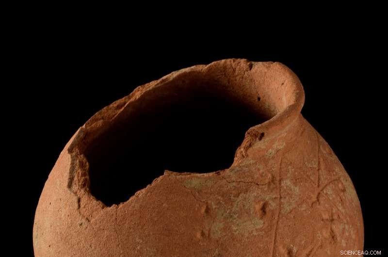 Groundbreaking Ancient DNA Study Sheds Light on Millennia of South and Central Asian Prehistory